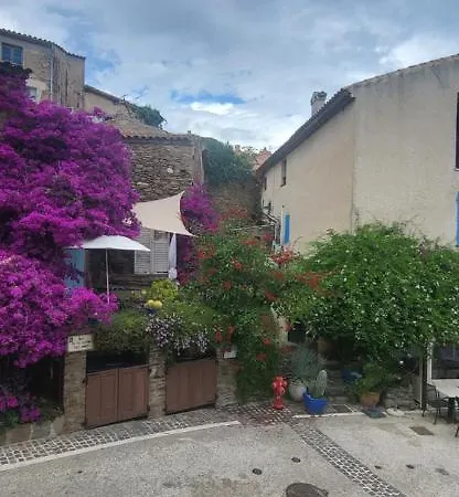 Appartement Centre Village Medieval Bormes-les-mimosas, 1 Chambre, 3 Personnes *